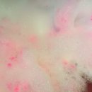 오션하버 이미지