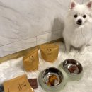 주식회사 하이제스트 이미지