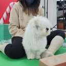 므므스튜디오