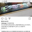 와줘서고마워