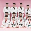 용인대새봄태권도 이미지