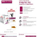 위드피시 이미지