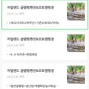 자일랜드