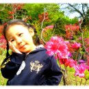 청곡농장 이미지