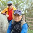 제387차 飛鳳山(579m) 10.21(月)定期山行 이미지