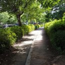 대둔산그린시티오토캠핑장 이미지