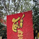 (15) 베트남 하노이 여행 3/4 이미지