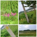 연천배수펌프장 이미지