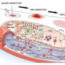 다담한의원 이미지