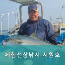 시원호