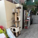 한솥도시락 가오점 이미지