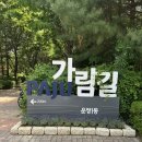 라벤더향기