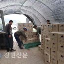 서면 당림1리 이미지