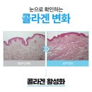 리엔장의원3
