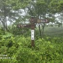 보은산V랜드 이미지