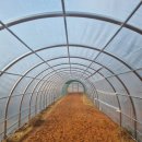 산책길에 이미지