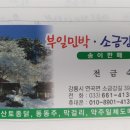 부일민박 이미지