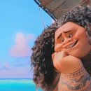 까꼬뽀꼬 이미지