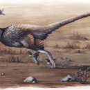 공룡pc방 이미지