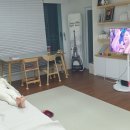 (주)코리안심플 | 삼탠바이미 구매여정 6 - M7 43인치 무빙스타일 최종 사용 후기