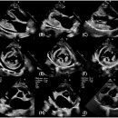 김수의과병원 이미지
