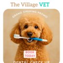 [W38] The Village Vet Hospital 진료 시작하였습니다. 이미지