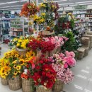 장미하우스 | 다이소 조화 부케 vs 모던하우스 조화 직접 비교하고 셀프 가성비 부케 만든 후기