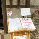 관광지 | 일본 오키나와 맛집 카진호 피자 후기 북부 관광지 추천