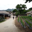 가계보건진료소 티스토리