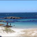 케이프타운 이미지