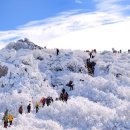 당골목장 이미지