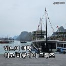 돌섬휴게소 | 하노이 여행, 위고 하롱베이 데이 크루즈 후기(티톱섬·루온동굴·승솟동굴)