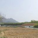 봉곡마스타골프클럽 이미지