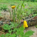 가평 힐링스타 펜션 이미지