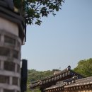 오키드고멧 안국 | [안국] 오키드고멧｜창덕궁 뷰 카페 추천 분위기 좋은 통창 카페 후기