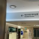 ㈜에코비티 | [잠실 미용실] 에코쟈뎅 잠실롯데타워점｜락현 디자이너 애쉬브라운 톤다운 염색 후기