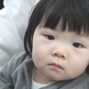 리스펙트기무라주짓수