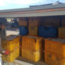 신영농장 이미지