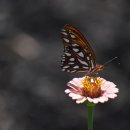 공감심리상담. 행정사. 인력사무소 이미지