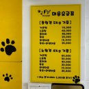 망쿠애견샵 네이버블로그