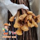 서영이네 이미지