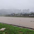 직지사천 이미지