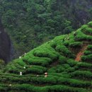 강남민박 이미지