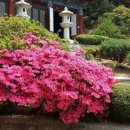 원동농장 이미지