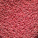 북사2리 이미지