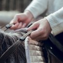 모텔승마 이미지