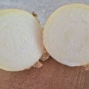 소망이네 산밭양파 꼬다마 나왔어요 이미지