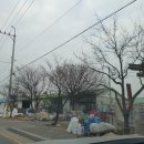 천현목장 이미지