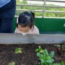 파란하늘빛어린이집 이미지