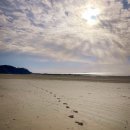 동서진입도로 1L | [Section #1] 동서트레일 1-4구간 백패킹